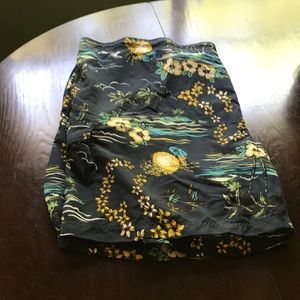 Island Passport swim trunks